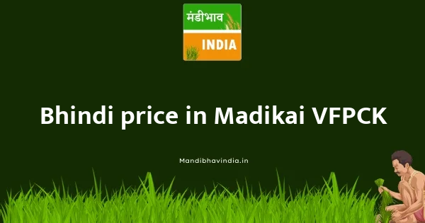 Bhindi price